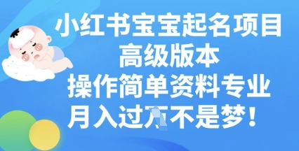 小红书宝宝起名项目高级版本，操作简单，资料专业，月入过W-源创文化