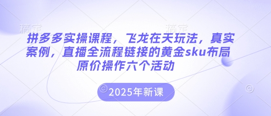 拼多多实操课程，飞龙在天玩法，真实案例，直播全流程链接的黄金sku布局原价操作六个活动-源创文化