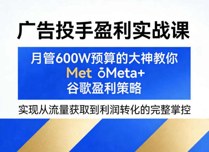 广告投手盈利实战课，月管600W预算的大神教你Meta+谷歌盈利策略，实现从流量获取到利润转化的完整掌控-源创文化