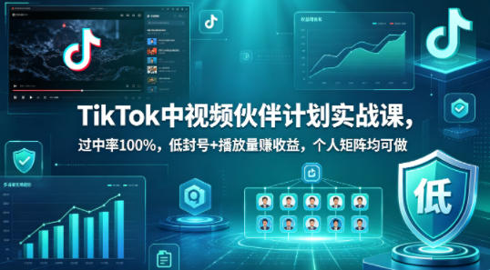 TikTok中视频伙伴计划实战课，过中率100%，低封号+播放量賺收益，个人矩阵均可做-源创文化