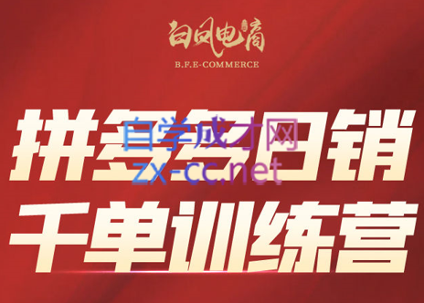 白凤电商·拼多多日销千单训练营(更新4月)-源创文化