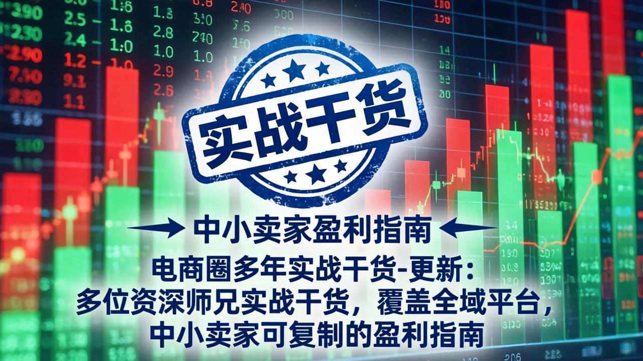 电商圈多年实战干货-更新5月10:多位资深师兄实战干货/覆盖全域平台,中小卖家可复制的盈利指南-源创文化