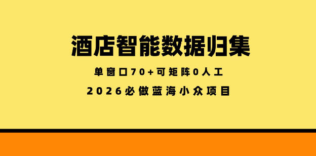 酒店智能数据归集，小众蓝海已经稳定半年之久，单窗口70+零成本矩阵开干【揭秘】-源创文化