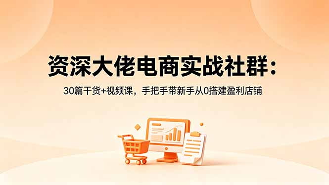 资深大佬电商实战社群：30篇干货+视频课，手把手带新手从0搭建盈利店铺-源创文化