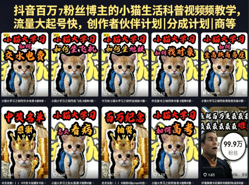抖音百万粉丝博主的小猫生活科普视频教学，流量大起号快，创作者伙伴计划|分成计划|商单|收徒等-源创文化