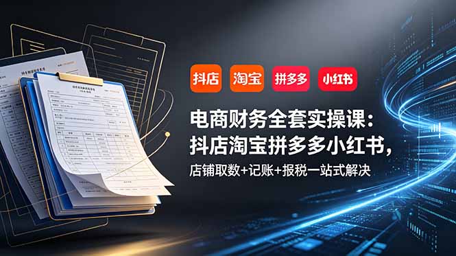 电商财务全套实操课:抖店淘宝拼多多小红书,店铺取数+记账+报税一站式解决-源创文化