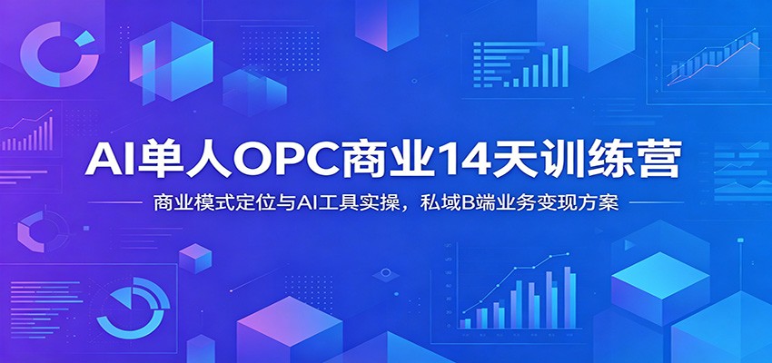 AI单人OPC商业14天训练营:商业模式定位与AI工具实操,私域B端业务变现方案-源创文化