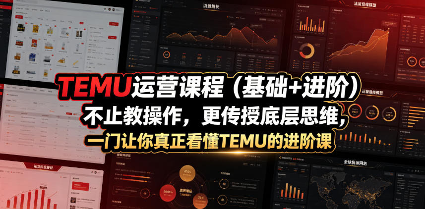 TEMU运营课程(基础+进阶)，不止教操作，更传授底层思维，一门让你真正看懂TEMU的进阶课-源创文化