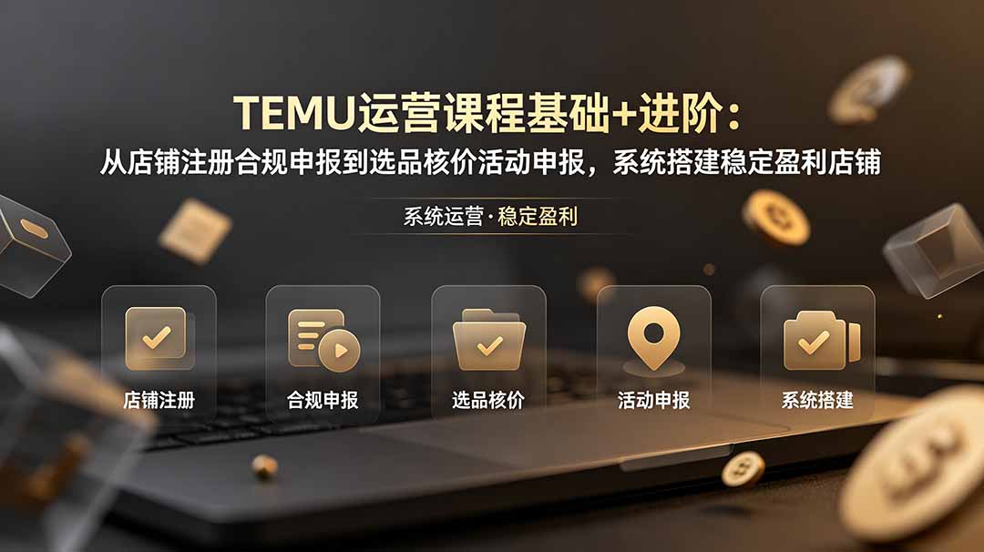 TEMU运营课程(基础+进阶-源创文化