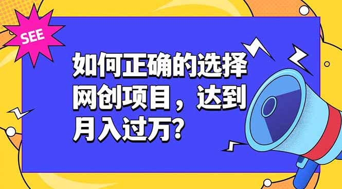 如何正确的选择网创项目，达到月入过万？，本课程教你正确选择项目。-源创文化