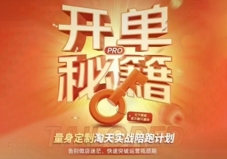 天下网商·淘宝天猫陪跑计划(更新7月)-源创文化