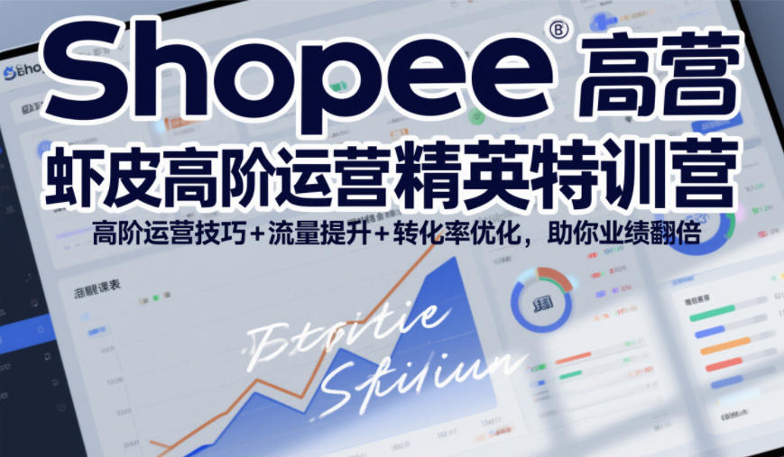 Shopee虾皮高阶运营精英特训营，高阶运营技巧+流量提升+转化率优化，助你业绩翻倍(更新26年7月)-源创文化