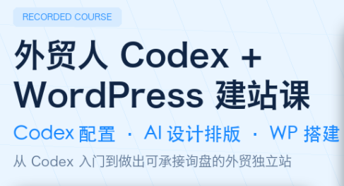 大卫·外贸人Codex + WordPress建站课(更新8月)-源创文化