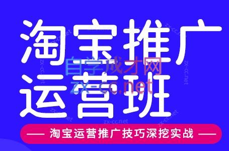 美迪电商·淘宝高级运营班+推广运营班(更新9月)-源创文化