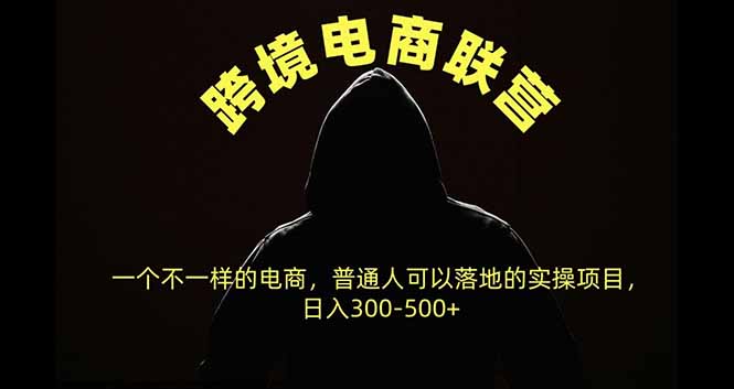跨境电商联营,一个不一样的电商,普通人可操作日入300-500+-源创文化