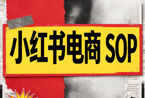 书豪必胜小红书电商sop(更新9月)-源创文化