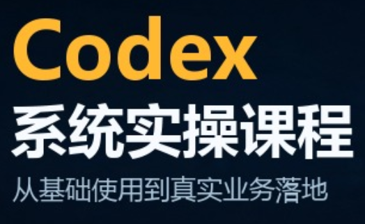 codex系统实操课程(更新10月)-源创文化