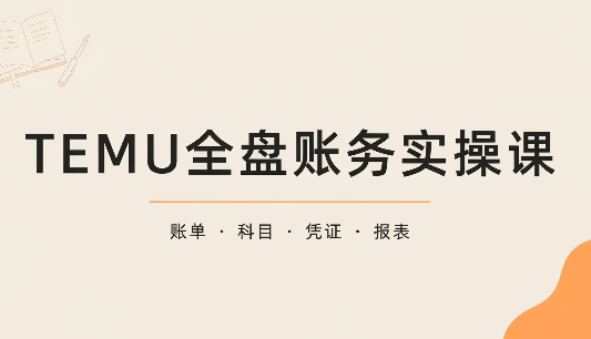 TEMU全盘账务实操课：账单导出、科目设置、利润核算-源创文化