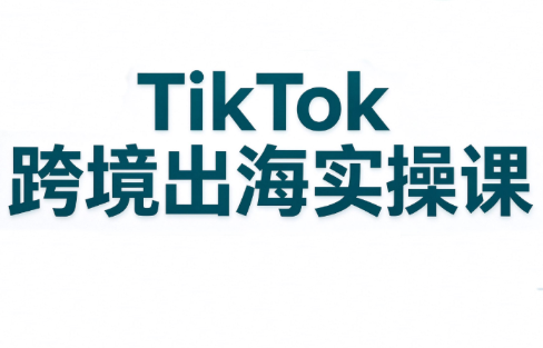 彭老师·TikTok跨境出海实操课-源创文化
