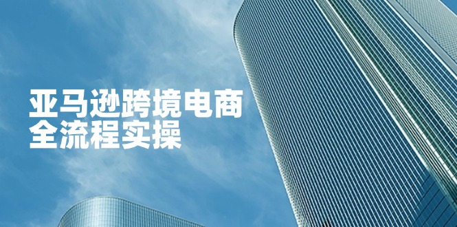 （14252期）亚马逊跨境电商全流程实操，教你从零开始，掌握店铺运营与广告技巧-源创文化