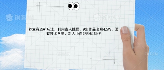 AI养生赛道新玩法，10条作品涨粉5.2W，操作简单，新人小白能轻松制作-源创文化