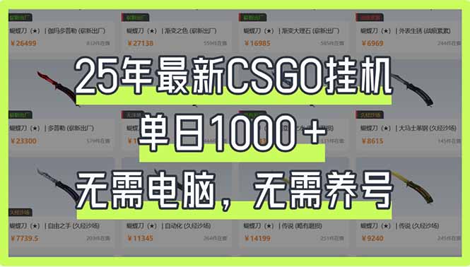 （14178期）25年最新CSGO挂机系统，单日1000+，无需电脑，无需养号，0基础可上手-源创文化