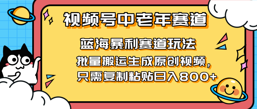 （14314期）2025视频号中老年短视频蓝海暴利风口！复制粘贴搬运视频单日赚800+，无...-源创文化