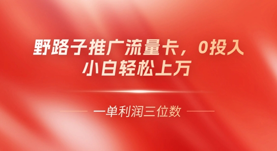 0门槛推广流量卡，一单收益上百，0投入，小白月入过W-源创文化