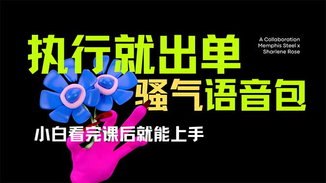 （14170期）爆火全网的开车导航骚气语音包,只要执行就出单，小白看完课程就能实操...-源创文化