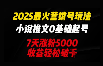 2025最火营销号玩法：小说推文0基础起号，7天涨粉5000，收益轻松破k-源创文化