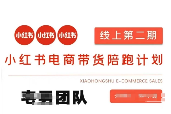 小红书电商带货课2期，月利润20个的小红书电商的有货源，无货源，虚拟产品，付费投流等整套玩法-源创文化